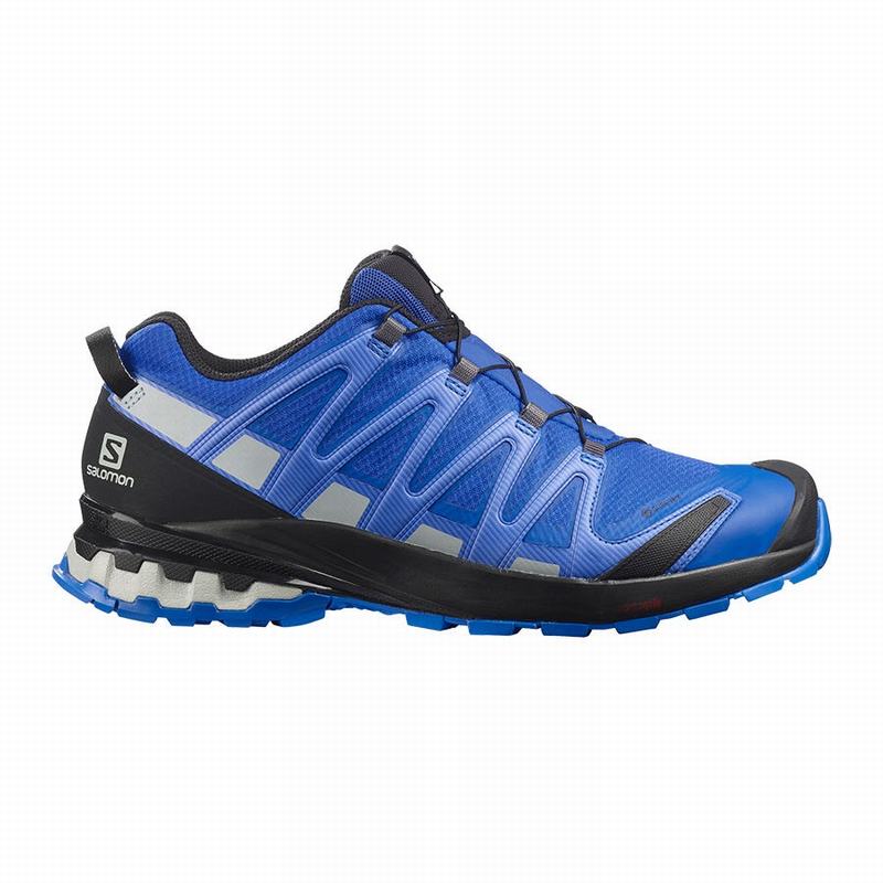 Chaussures De Randonnée Salomon Homme Noir / Bleu - Salomon XA PRO 3D V8 GORE-TEX - France (3650-TFZ